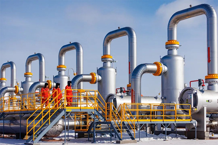 1701650319747001.jpg 3.jpg