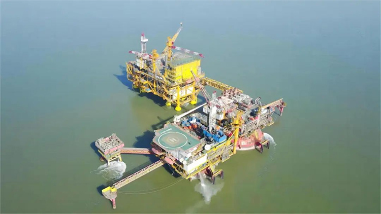 1701941517487547.jpg 2.jpg