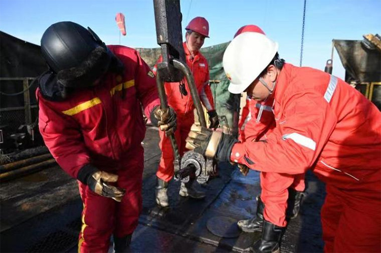 1703750068399678.jpg 9.jpg